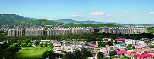 北京西山楓林